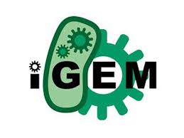 International Genetically Engineered Machine Competition (iGEM)